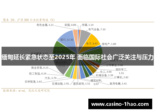 缅甸延长紧急状态至2025年 面临国际社会广泛关注与压力